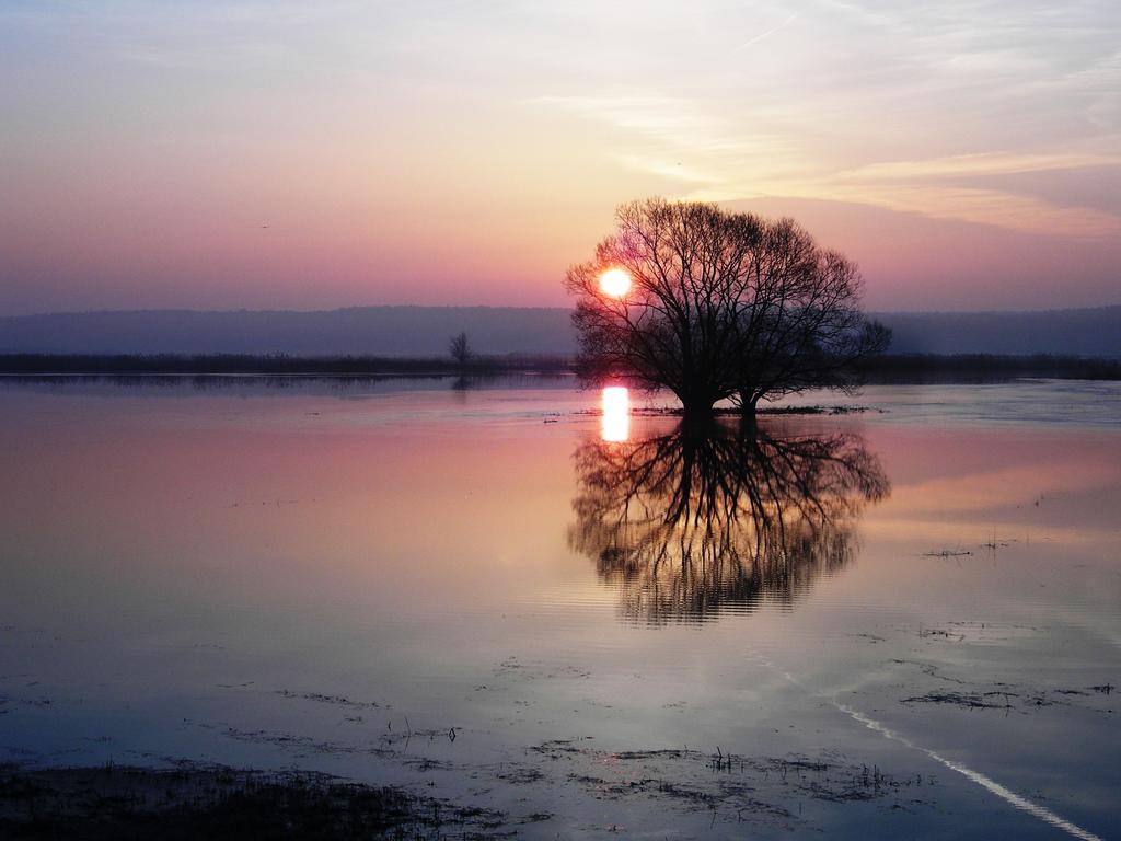 Am Hohennauener See * Wassersuppe